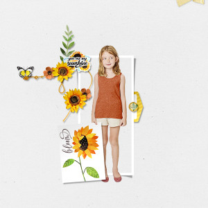 bloom