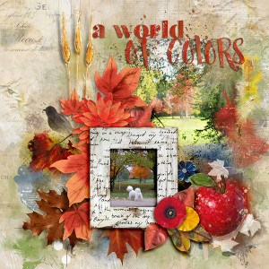 SOSN_aug24_NBK_A World Of Colors