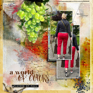 2022-The-Colors-of-Fall-Winetasting