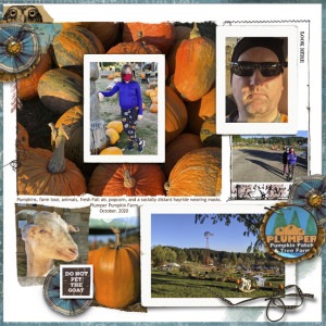 Pumpkin Patch 2020