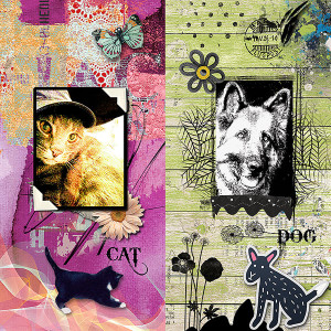 Cat-Dog