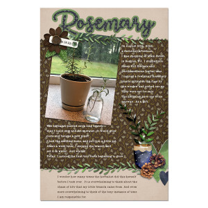 Rosemary Story