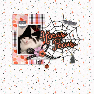 hocus pocus