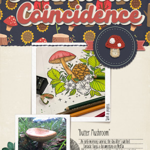 Mushroom Coincidence