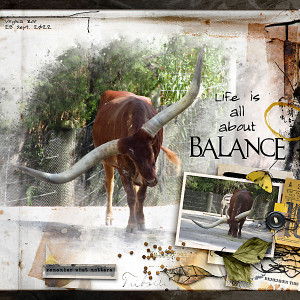 Balance