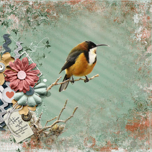 AUTUMN VISITOR