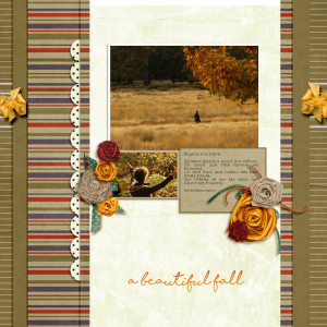 A beautiful Fall