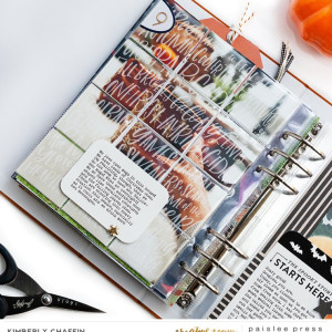 Paisleepress-FALL-projectbyKimChaffin01