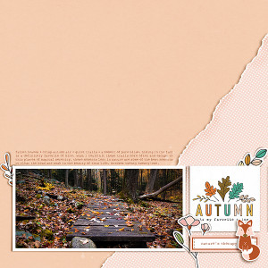 autumn walk