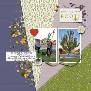 Putting Down Roots