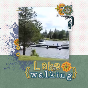 Lake Walking