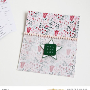 Paislee-DecFavesNo11-project2byNADIA