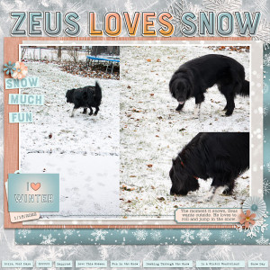 2022 Zeus Snow