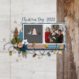 SOSN_jan4_AP_AD_Christmas Day 2022
