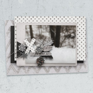 CatchingSnowflakes