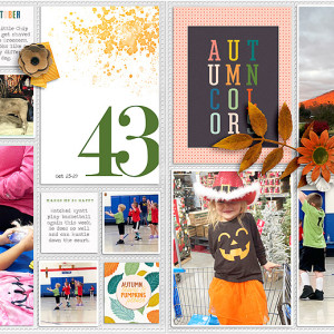 43-full