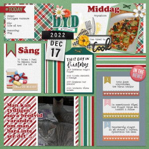 DYD 2022 Dec 17