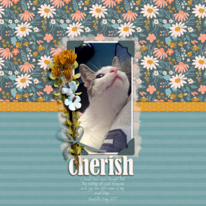 cherish MOC day 1