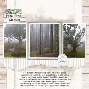 Day 4 Re-scrap A Page EllenR Small