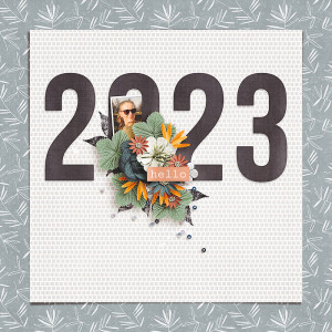 Hello 2023