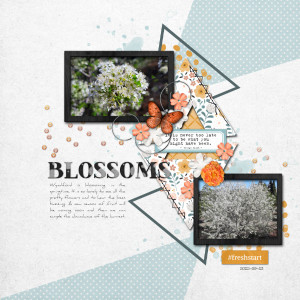 2022-09-23_Blossoms