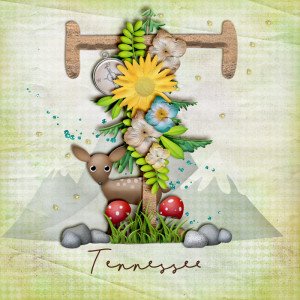 TN Title