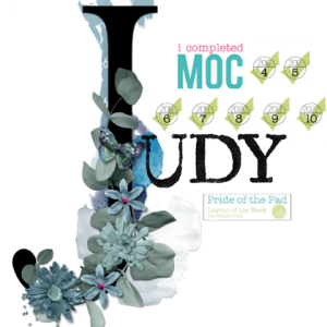 MOC 11 Judy Signature