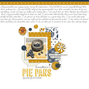 Pie Pans - Jan 7