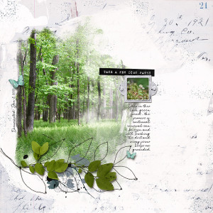 Dirt Paths - Jan 8