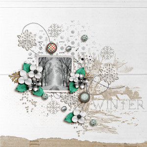 FF_jan11_AP_AWA_Winter