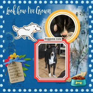 January-12---A--Happy-Layout
