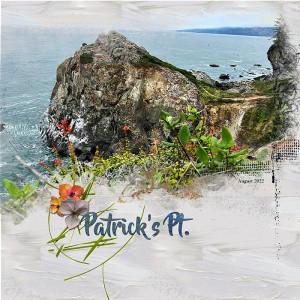 2023-MOCDay-8-Technique-2022-Patricks-Point-copy