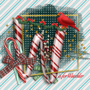 January-6-LetterW