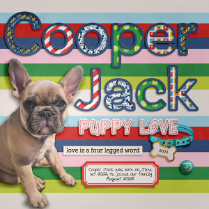2022_8_Cooper Jack