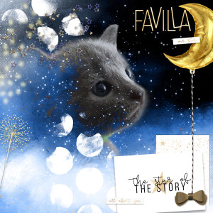 2020 Favilla Cover
