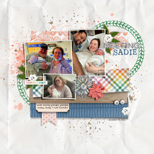 MOC Day 16: Meeting Sadie