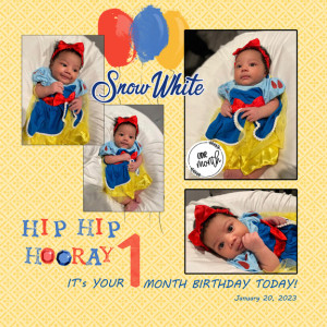 January 20 Birthday MOC 11 8x8