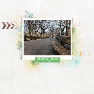Central Park (MOC 11 - Day 3 Leading Lines)