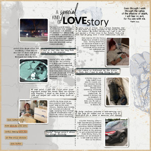 Jan-25---A-Love-Story---A-Special-Kind-of-Love-Story