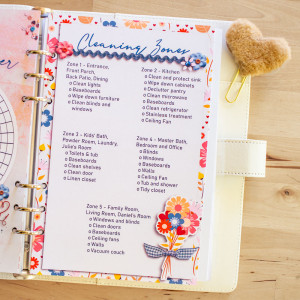 Hybrid Planner - Cleaning Zones