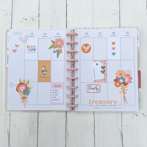 Happy planner 17 (hybrid)
