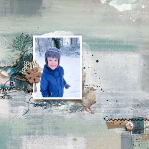 Winter Woodland