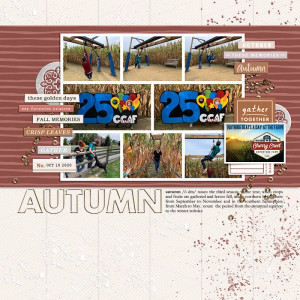 MOC11-23 Filled Template