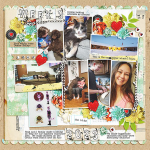 P52.week.3.jan16.jan22
