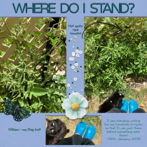 MOC2023 - Day29 - Where Do I Stand?