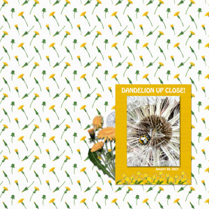 January 30 Clean And Simple MOC 11 8x8