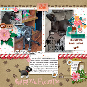 Jan 23: Filled Template (current events)