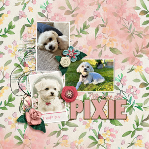 We love you Pixie