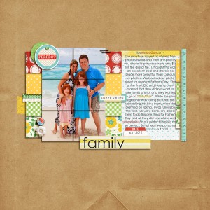 perfect family NOT