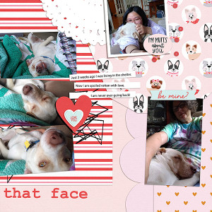 that face